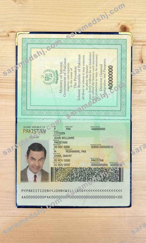 Pakistan passport photo look